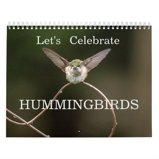 Feiern wir Hummingbirds Kalender (Titelbild)