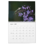 Feiern wir Hummingbirds Kalender (Mär 2027)
