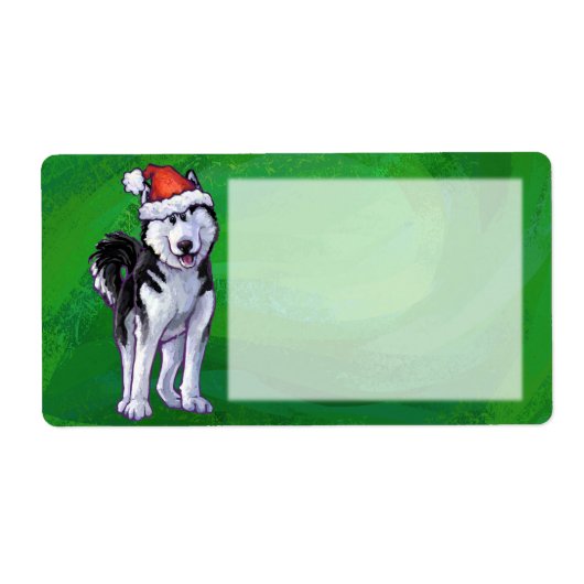 Feiernder Husky in Weihnachtsmannmütze auf Green (Vorne)
