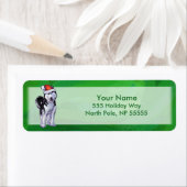 Feiernder Husky in Weihnachtsmannmütze auf Green (Insitu)