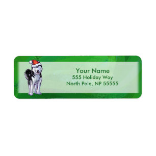 Feiernder Husky in Weihnachtsmannmütze auf Green