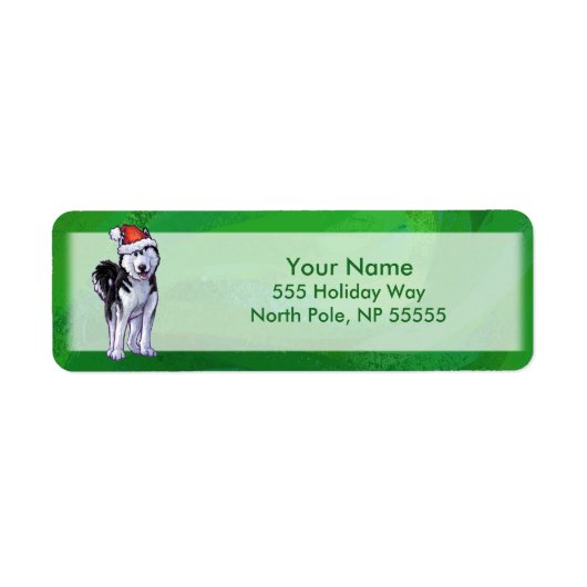 Feiernder Husky in Weihnachtsmannmütze auf Green (Vorne)