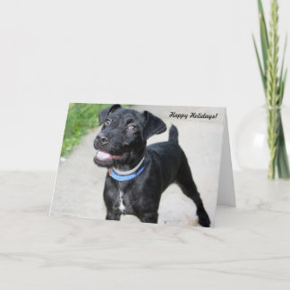 Feiertag kardiert "Feiertagsbeifall " Feiertagskarte