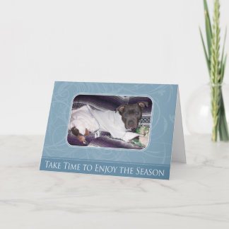 Feiertag Pitbull Karte