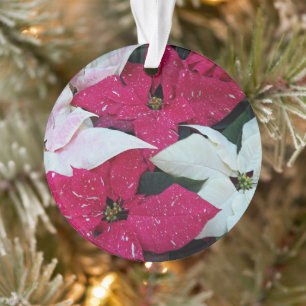 Feiertag Poinsettias Floral Ornament