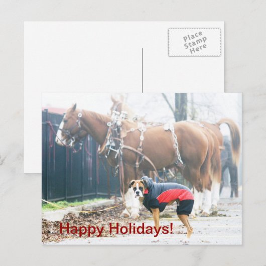 Feiertage Feiertagspostkarte (Vorne/Hinten)