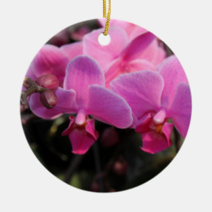 Feiertage, hübsche, rosa orchid Blume Keramikornament