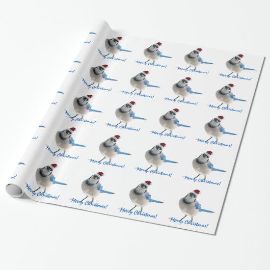 Feiertags-Blau-Jay Geschenkpapier (Ungerollt)