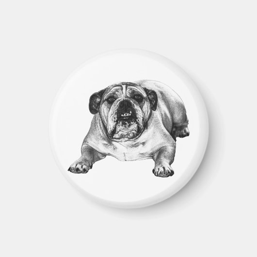 Feiertags-Bulldogge Fokus Magnet (Vorne)