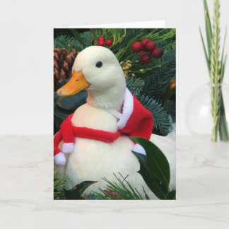 Feiertags-Ente Feiertagskarte