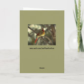 Feiertags-Frau-Kardinal Feiertagskarte (Rückseite)