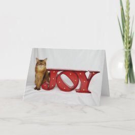 Feiertags-Freude, die Sommer-Samba kennzeichnet Feiertagskarte