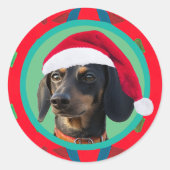 Feiertags Grün Rot Dein Hund oder unser Dachshund Runder Aufkleber (Vorderseite)