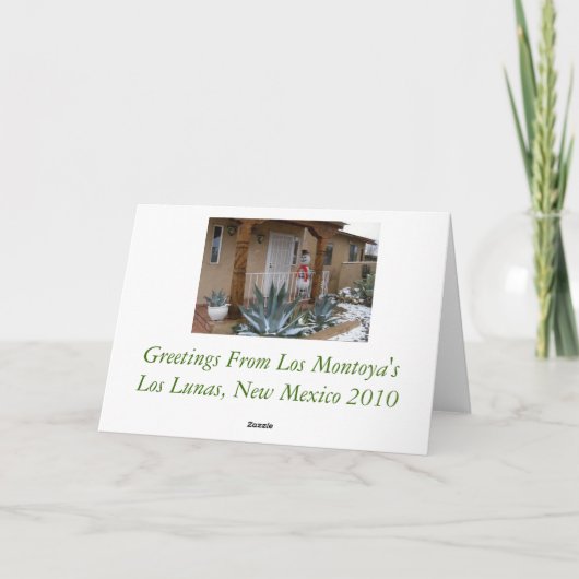 Feiertags-Karte 2010 Feiertagskarte (Rückseite)