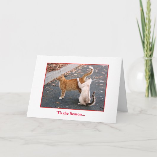 Feiertags-Karte Feiertagskarte (Vorderseite)