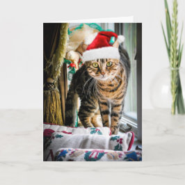 Feiertags-Katzen-Gruß-Karte Feiertagskarte