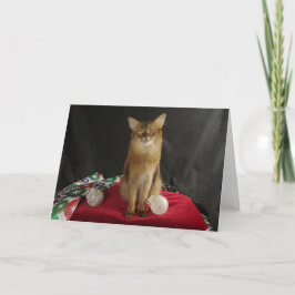 Feiertags-somalische Katze, Sommer-Samba Feiertagskarte