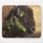 Feiertags-Unfug Mousepad (Vorne)