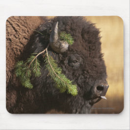 Feiertags-Unfug Mousepad