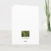 Feiertagskarte, das Höchstqueenstown des Bobs Feiertagskarte (Rückseite)