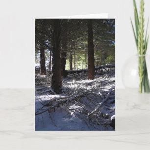 Feiertagskarte, das Höchstqueenstown des Bobs Feiertagskarte