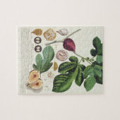 Feige, graviert durch (1704-67) Platte Johann Puzzle (Horizontal)