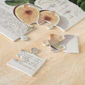 Feige, graviert durch (1704-67) Platte Johann Puzzle (Seite)