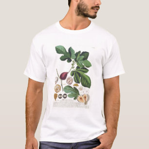 Feige, graviert durch (1704-67) Platte Johann T-Shirt