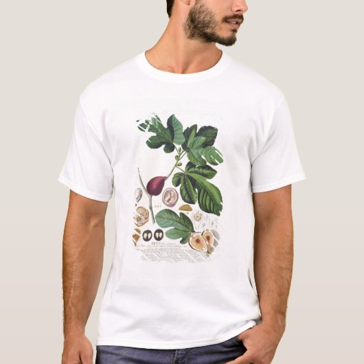 Feige, graviert durch (1704-67) Platte Johann T-Shirt (Vorderseite)