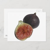 Feige Postkarte (Vorne/Hinten)
