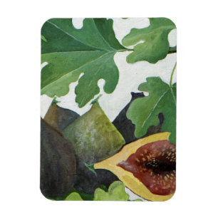 Feigen 2013 magnet