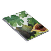 Feigen 2013 notizblock (Rechte Seite)