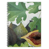 Feigen 2013 notizblock (Vorderseite)