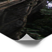 Feigenbaum im Regenwald von Tangkoko in Sulawesi Poster (Ecke)