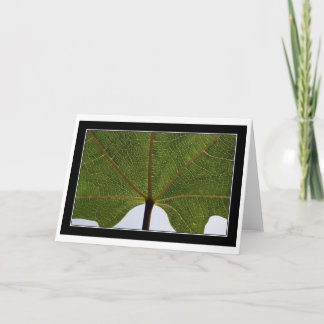 "Feigenblatt " Karte