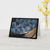 Feigenfrucht im Sieb Karte (Gelbe Blume)