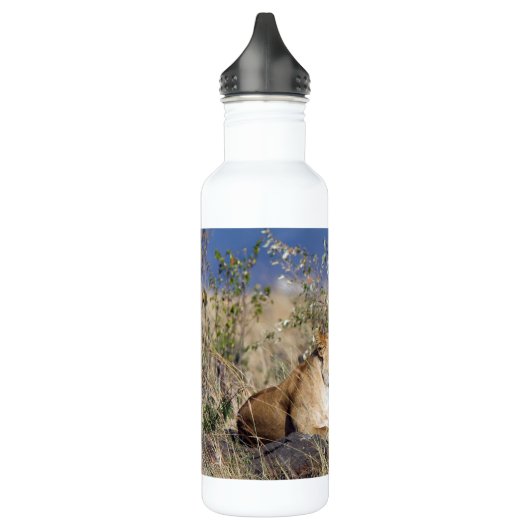 Feiglingsruhe Edelstahlflasche (Links)