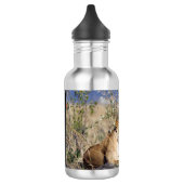 Feiglingsruhe Edelstahlflasche (Links)