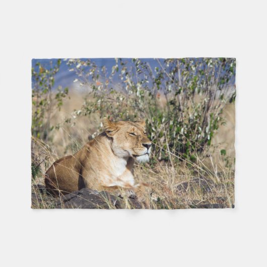 Feiglingsruhe Fleecedecke (Vorderseite (Horizontal))