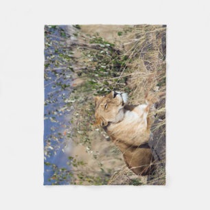 Feiglingsruhe Fleecedecke