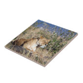 Feiglingsruhe Fliese (Seite)