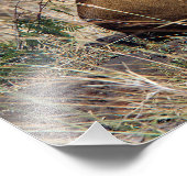 Feiglingsruhe Fotodruck (Ecke)