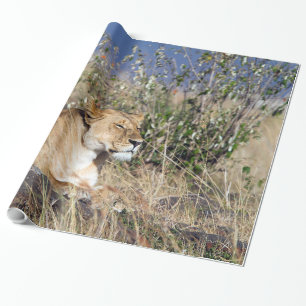 Feiglingsruhe Geschenkpapier