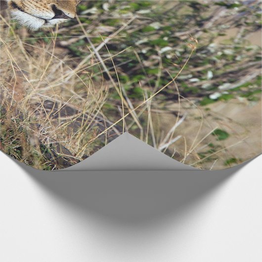 Feiglingsruhe Geschenkpapier (Ecke)