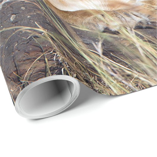 Feiglingsruhe Geschenkpapier (Rolleneckpunkt)