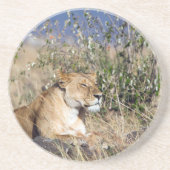 Feiglingsruhe Getränkeuntersetzer (Vorne)