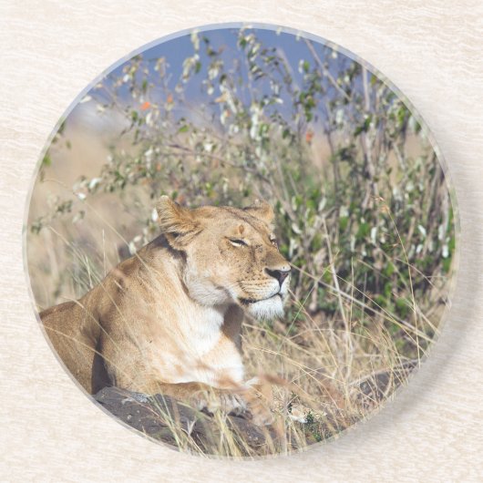 Feiglingsruhe Getränkeuntersetzer (Vorne)