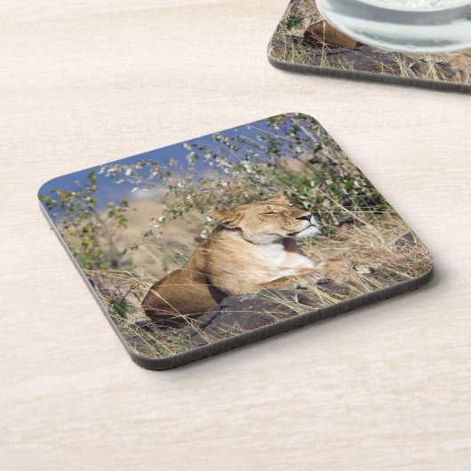 Feiglingsruhe Getränkeuntersetzer (Linke Seite)