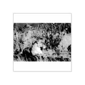 Feiglingsruhe Gummistempel (Prägung)