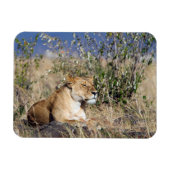 Feiglingsruhe Magnet (Horizontal)